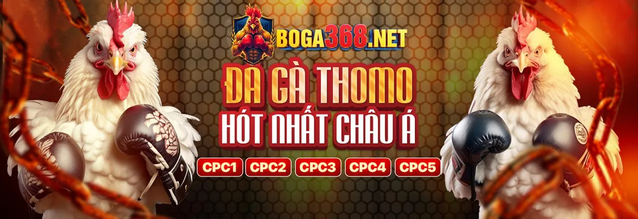Tin tức shbet88 login mới nhất và ưu đãi hấp dẫn