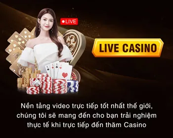 Giấy phép hoạt động